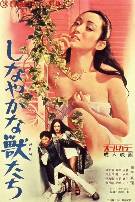 感官野獸