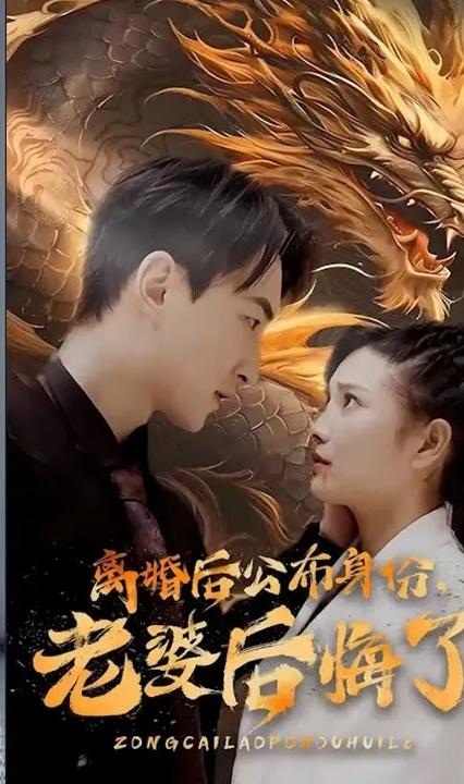 離婚后公布身份，老婆后悔了(全集)