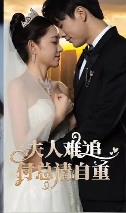 夫人難追，付總請(qǐng)自重(全集)
