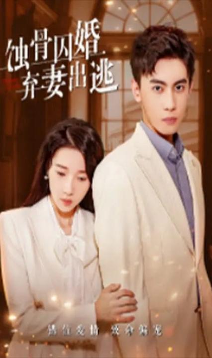 蝕骨囚婚，棄妻出逃(全集)