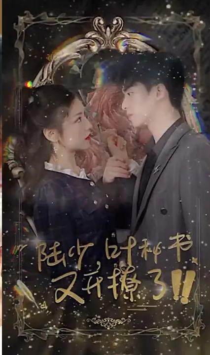 陸少，葉秘書又開撩了！(全集)